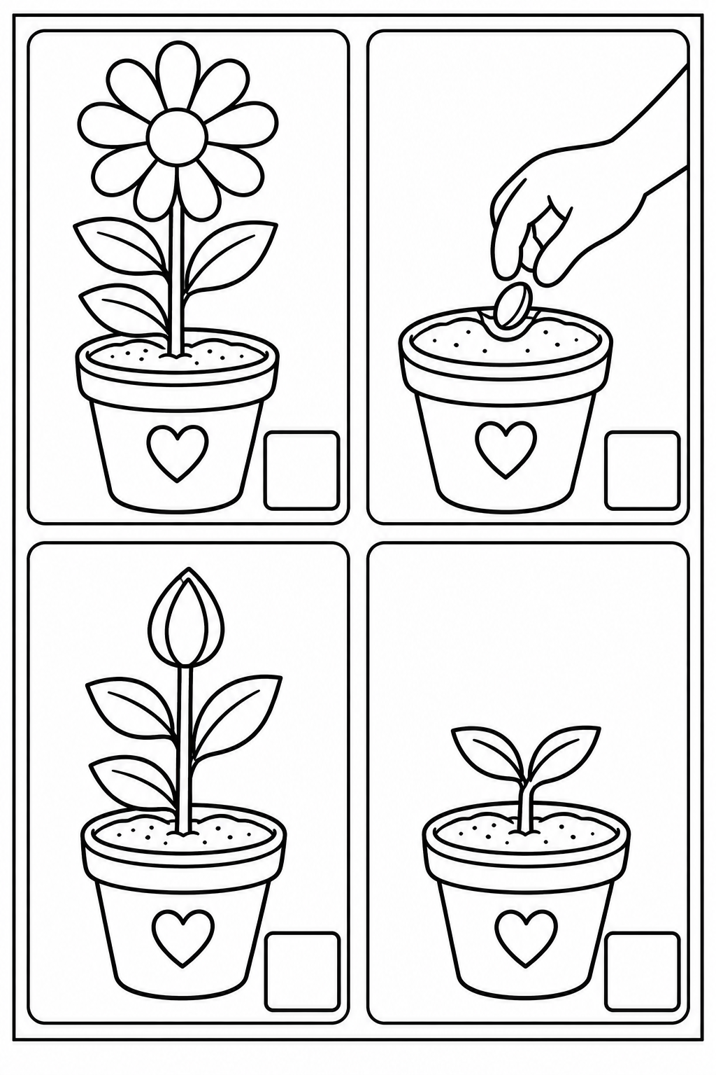 Black-and-white sequencing sheet with 4 mixed-up scenes, empty number boxes and a complete thin border. In page order: The bud opens into a flower. / Plant the seed in the soil. / The plant grows taller and forms a closed bud. / A small sprout appears with two leaves.
